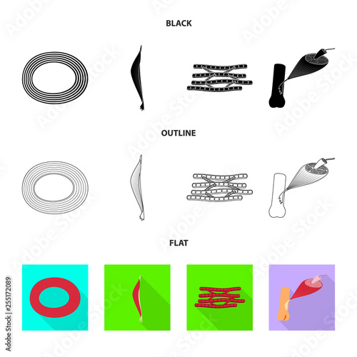 Isolated object of fiber and muscular icon. Collection of fiber and body  stock symbol for web.