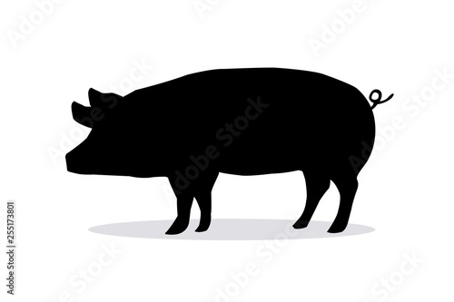 Pork shadow on a white backdrop. Silhouette pig on white background.