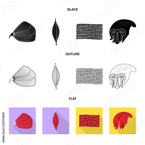 Vector illustration of fiber and muscular logo. Collection of fiber and body  stock vector illustration.
