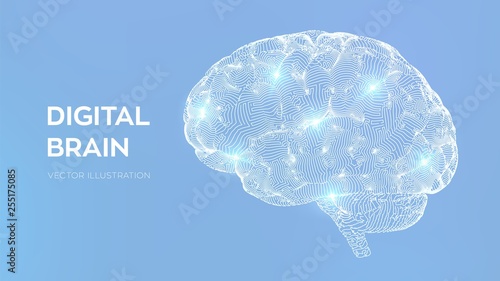 Brain. Digital brain. 3D Science and Technology concept. Neural network. IQ testing, artificial intelligence virtual emulation science technology. Brainstorm think idea. Vector illustration.