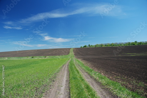 country road