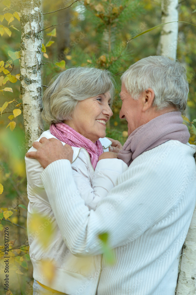 Happy mature couple walking in the park Happy mature couple walking in the park