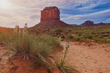 Monument Valley, Navajo tribal park, famous desert landscape, USA - springtime and blooming yuccas