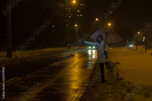A woman with a dog catches a car on the road at night in winter.