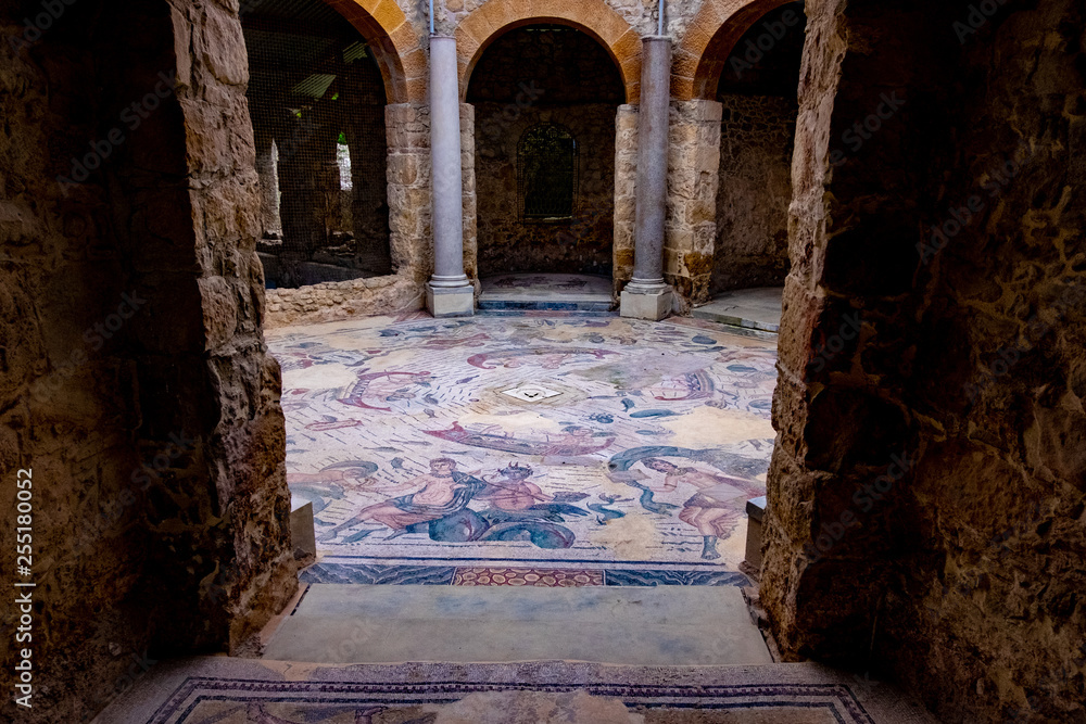 Mosaic Floor at Villa Romana