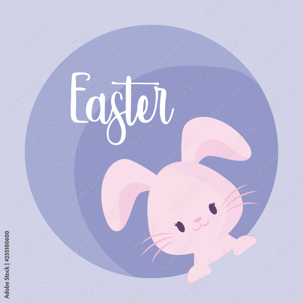 cute rabbit of easter in frame circular cute rabbit of easter in frame circular
