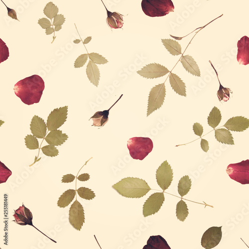 Pressed summer spring pink rose flowers isolated on yellow background pattern