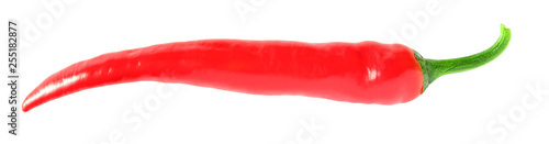 Hot red chili pepper one single whole isolated on white backgound with clipping path.