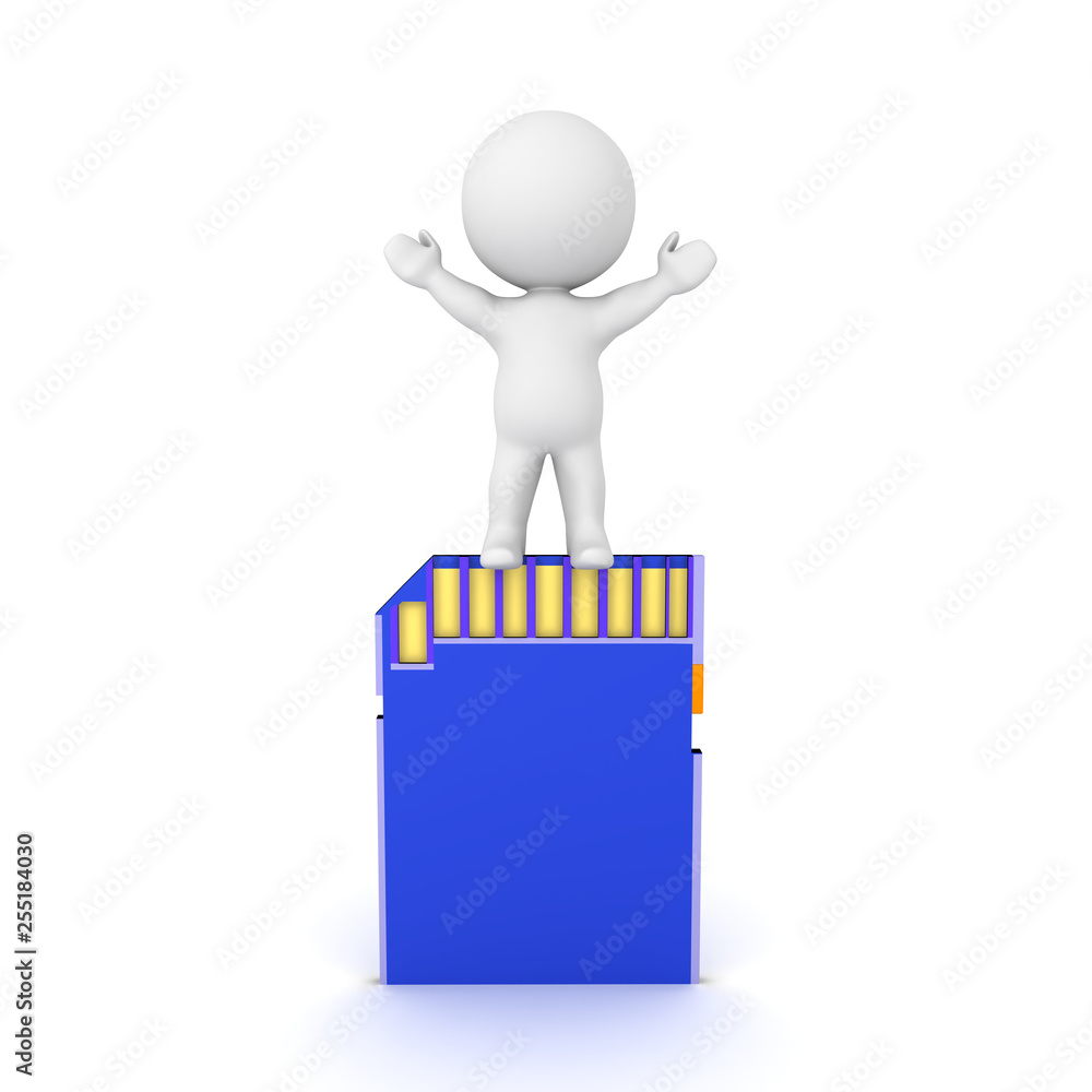 3D Character with arms raised standing on SD Card 3D Character with arms raised standing on SD Card