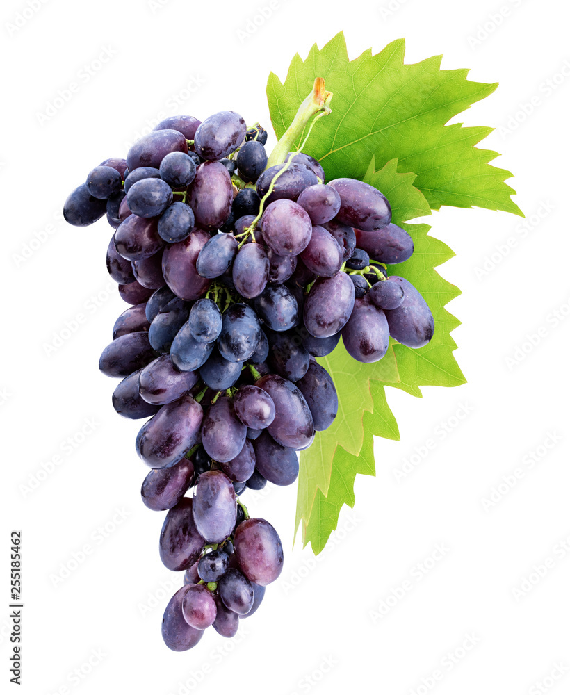 Fototapeta premium Branch of grapes isolated on white background