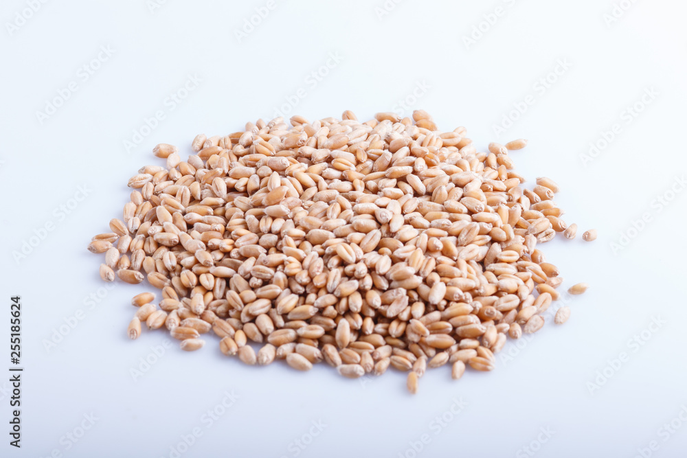 Heap of wheat grains isolated on white background. Heap of wheat grains isolated on white background.