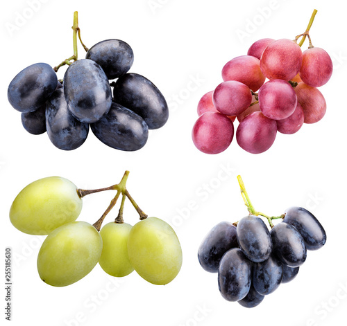 Valokuvatapetti Branch of grapes isolated on white background
