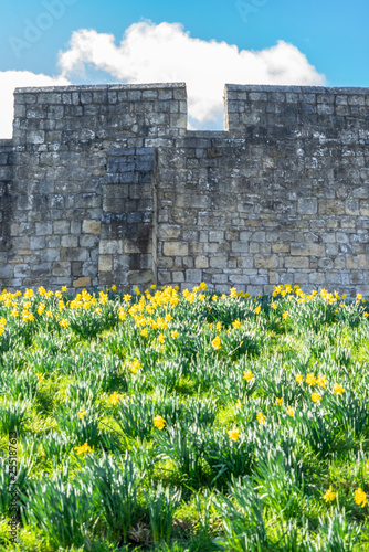 York (England) city walls in Spring