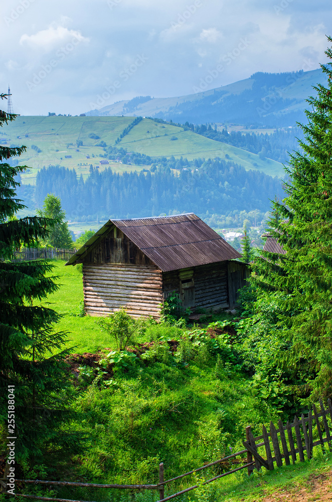 wooden house on the edge of the forest in the mountains of the Carpathians