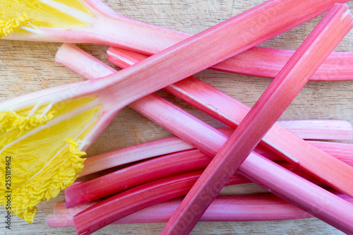 Canvas-taulu forced rhubarb