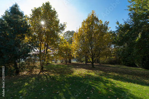Goldene Herbststimmung im Park