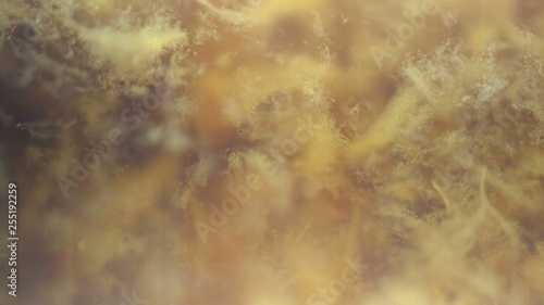 Golden liquid abstract background