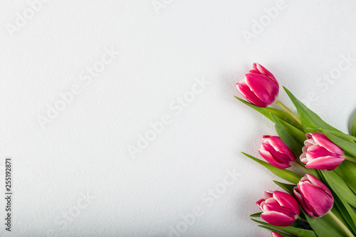 Fresh tulip flowers on a white table