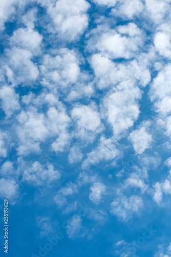 Vertical photo of white altocumulus clouds in blue sky