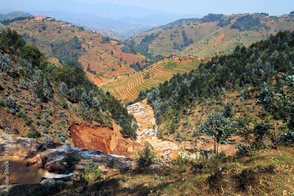 Land der tausend Hügel - Ruanda