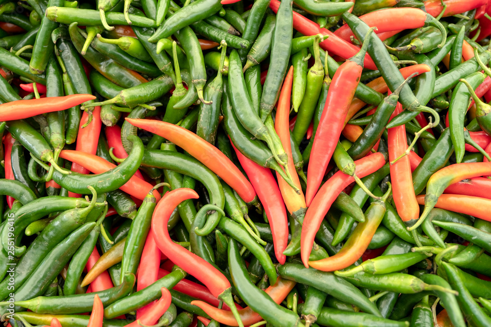Red and green chili pepper. Red and green chili pepper.