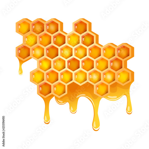 Honeycomb with flowing honey photo