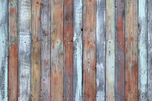Wooden wall texture, old painted multicolored wood boards. Weathered panels with nails and knots for background, colorful planks