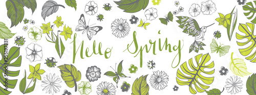 Spring illustrations banner