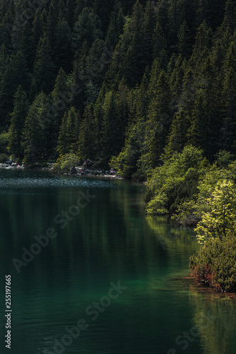 lake in the forest