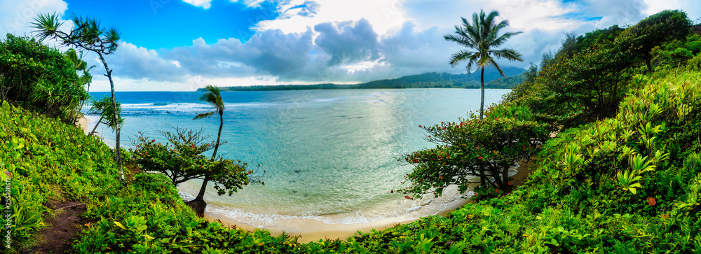 Ocean cove with lots of grean on sides