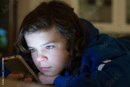 Zdalna nauka, nauczanie przez internet, Nastolatek w internecie, e lekcje