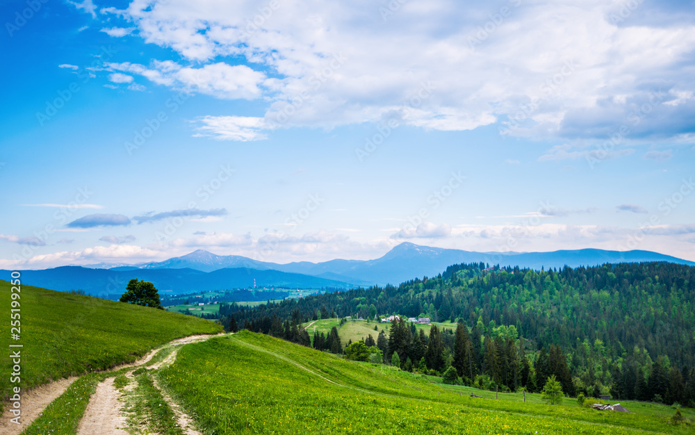 Fototapeta premium View of Mount Hoverla and Petros