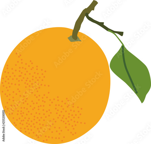 オレンジ 果物 フルーツ イラスト ベクター 南国 ビタミンc 栄養 甘い デザート 食材 白バック フレッシュ ビタミン みかん ミカン Stock Vector Adobe Stock