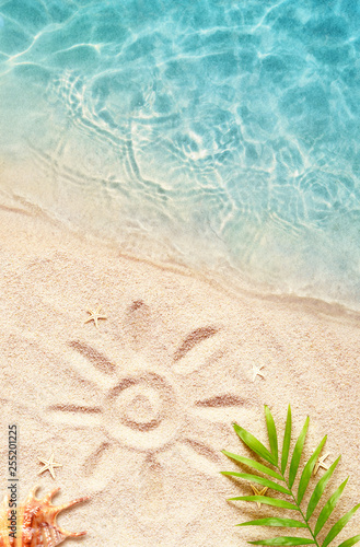 Summer background with green palm leaf and shell. Beach texture. Copy space.