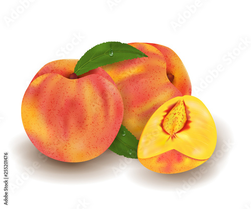 Two Realistic Ripe peaches whole and slice, green leaves with drops. Juicy fruit 3d illustration high detail isolated on white background. Vector
