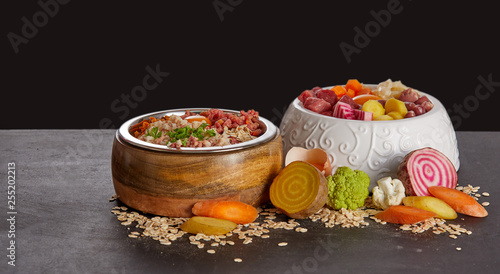 Photography Bowls of healthy food mix for dogs or cats
