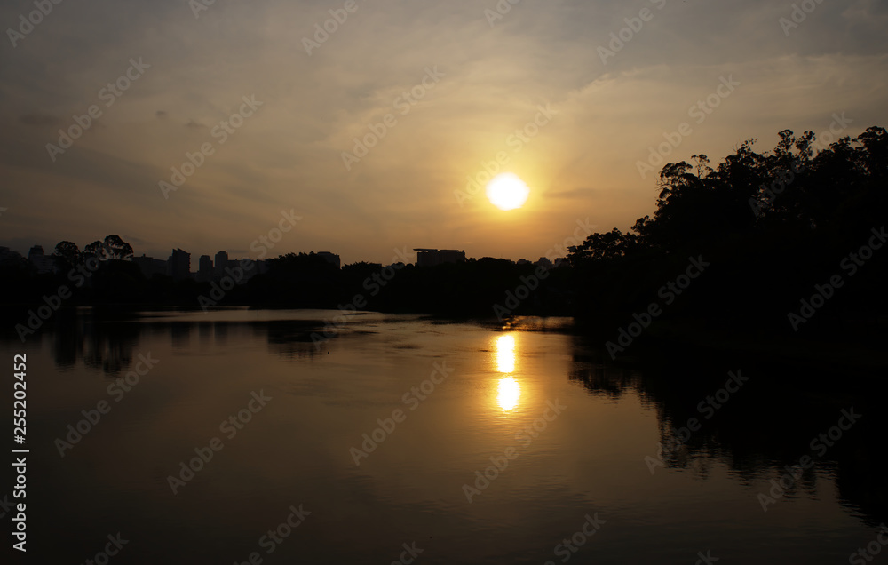 Obraz premium Ibirapuera Park in Sao Paulo, Brazil. Beautiful park in the middle of the biggest Brazilian city. Nature showing its beauty amidst great buildings.