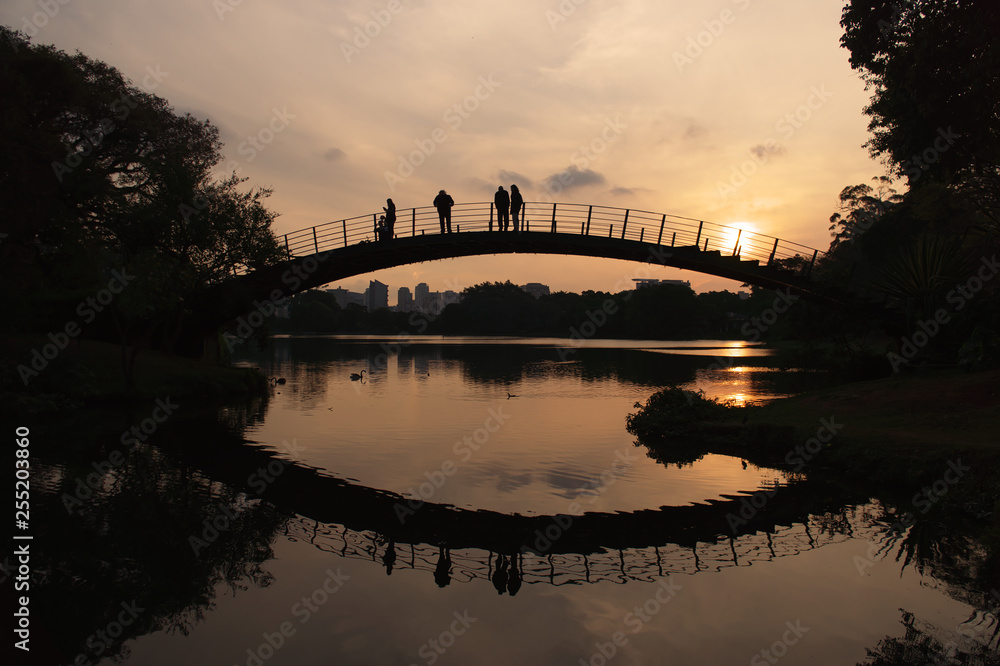 Obraz premium Ibirapuera Park in Sao Paulo, Brazil. Beautiful park in the middle of the biggest Brazilian city. Nature showing its beauty amidst great buildings.