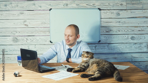 elderly businessman working in the toffice with a cat. working with computer in modern office photo