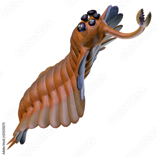 Cambrian Opabinia Head - Opabinia was a carnivorous marine fish that lived in the seas of the Cambrian Period. photo