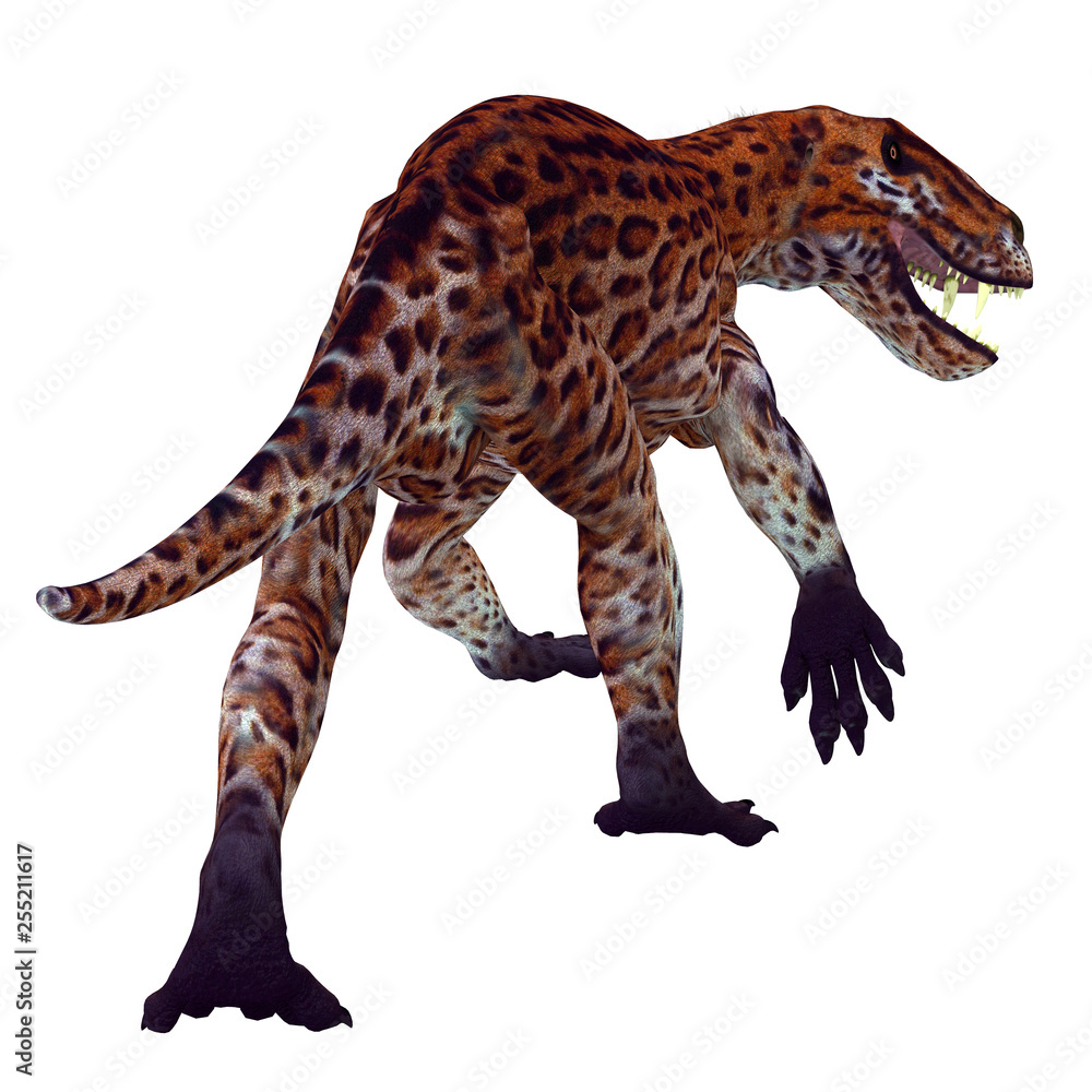 Obraz premium Lycaenops Cat Tail - Lycaenops was a carnivorous cat-like dinosaur that lived in South Africa during the Permian Period.