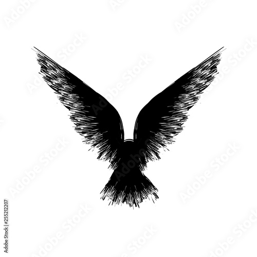 Black grunge raven silhouette