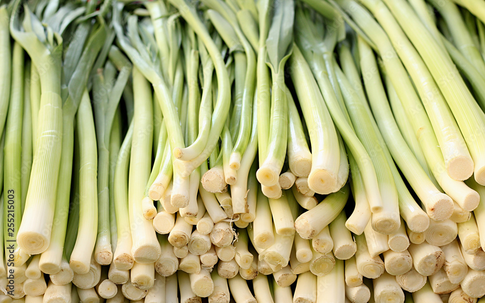 Vegetables and garlic and fresh scallion Vegetables and garlic and fresh scallion