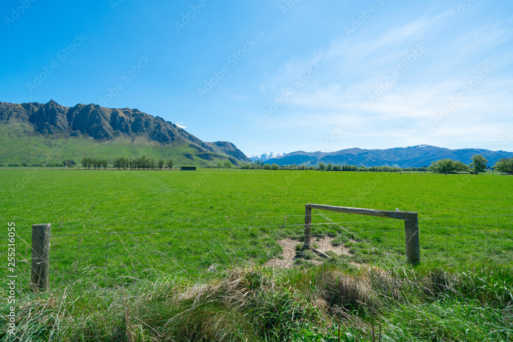 Distant mountain s beyond emerald green South Island pasture
