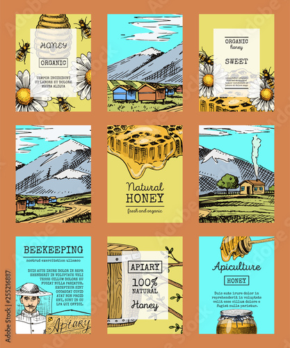 Honey farm cards waxing bee and beehive flyer. Poster organic honey and apiary, beehive and chamomile dessert nutrition vector illustration.