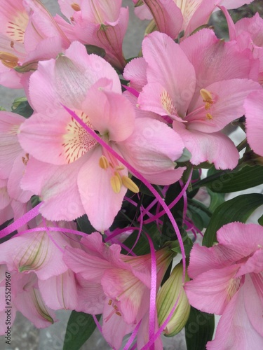 Delicate pink bouquet of flowers. Pastel light colors. photo