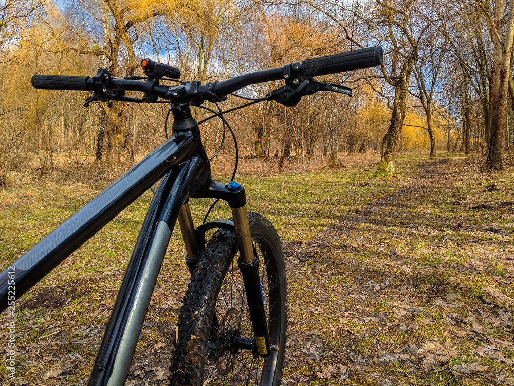Naklejka premium MTB bicycle on the trail in the spring season