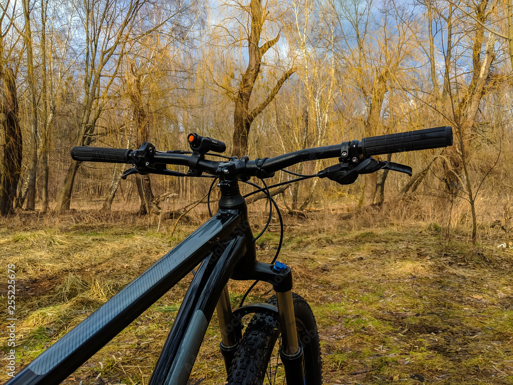 Naklejka premium MTB bicycle on the trail in the spring season