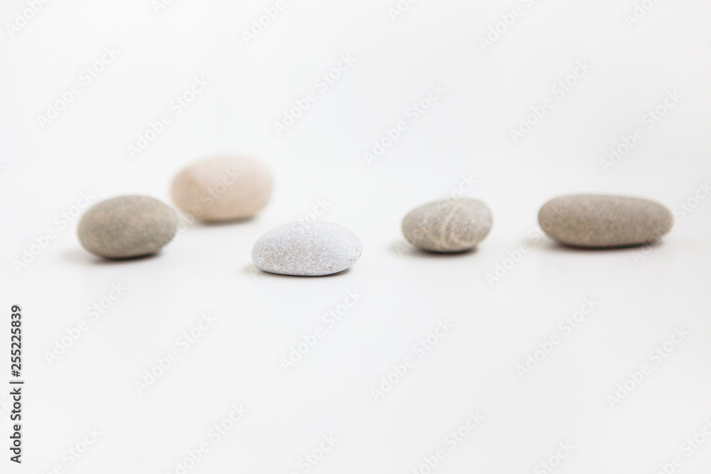 Pebbles on the white ground Pebbles on the white ground