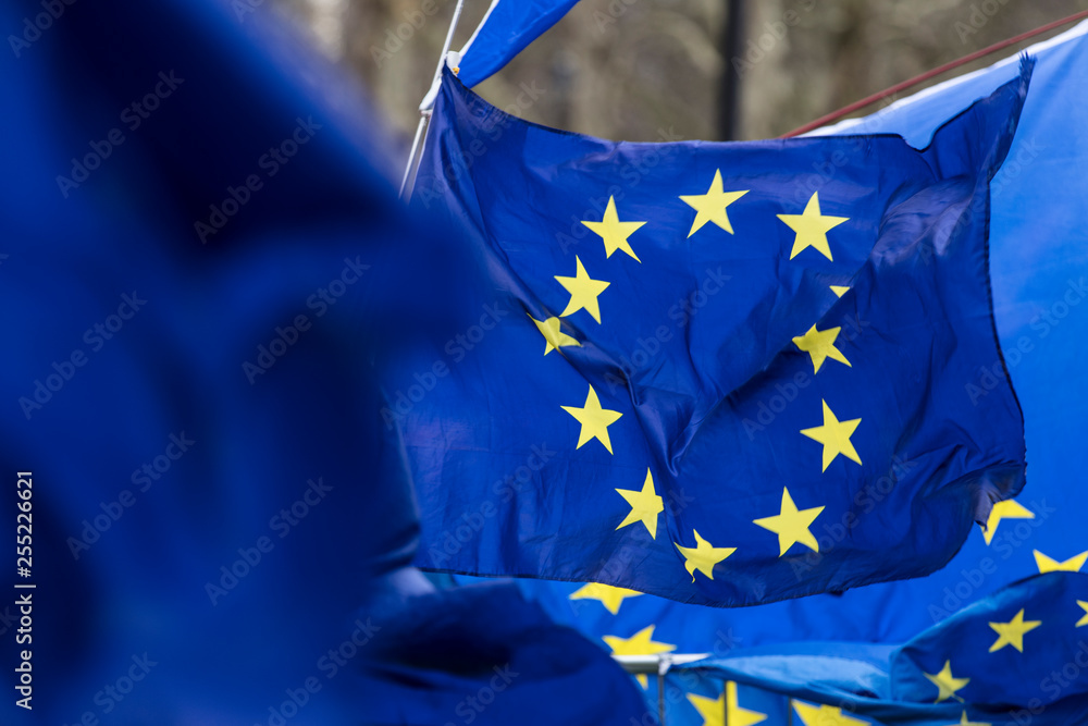 Flags of the European Union flying at a brexit march in London Flags of the European Union flying at a brexit march in London